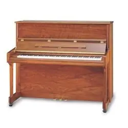 Pianina / Fortepiany Premium