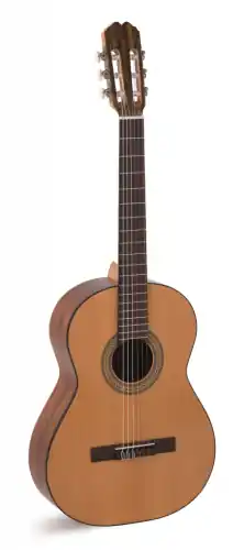 Alvaro Guitars no. 25 Zamów teraz