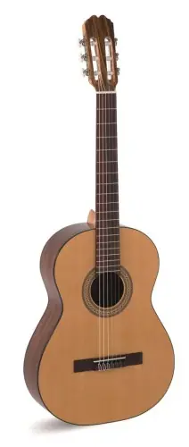 Najlepsza cena Alvaro Guitars no. 40