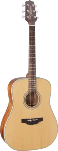 Nie przegap Takamine GD20-NS