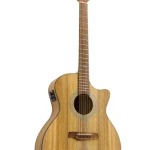 Oferta Randon RGI-M4 CE gitara akustyczna