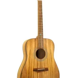 Randon RGI-M1 gitara akustyczna Okazja