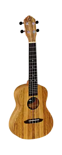 Ortega RFU11Z Tani
