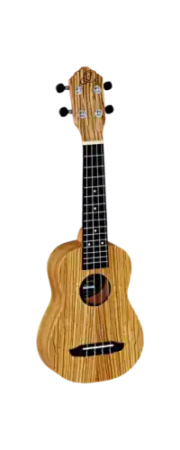 Hit cenowy Ortega RFU10Z
