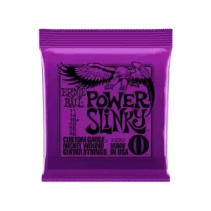 Ostatnia szansa Ernie Ball 2220