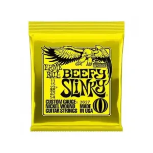 Ograniczona ilość Ernie Ball 2627