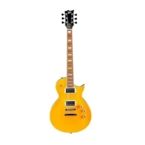 ESP LTD EC-256 LD Bezpieczna płatność