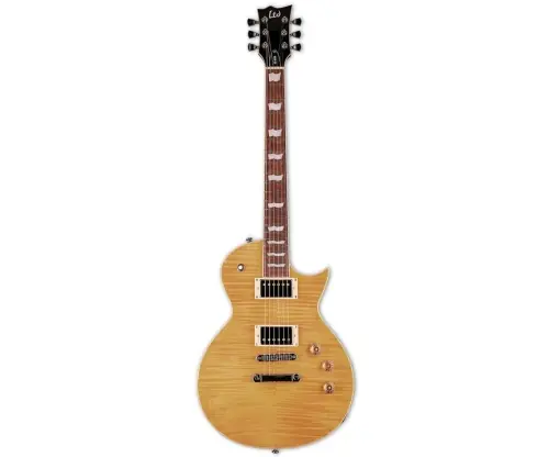 Ograniczona ilość ESP LTD EC-256 VN