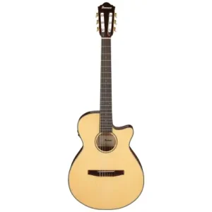 Ibanez AEG50N-NT Wyprzedaż