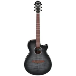 Ostatnie sztuki Ibanez AEG70-TCH