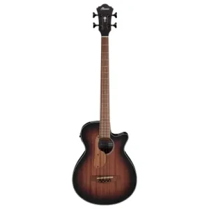 Ibanez AEGB24E-MHS Tylko do końca tygodnia