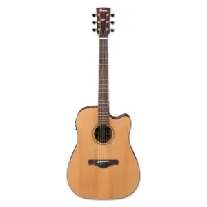 Ograniczona ilość Ibanez AW65ECE-LG