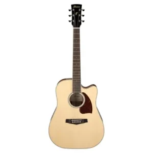 Tani Ibanez PF16WCE-NT