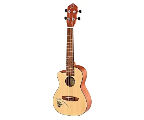 Taniej Ortega RU5CE-L