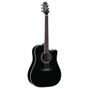 Ostatnia szansa Takamine EF341SC