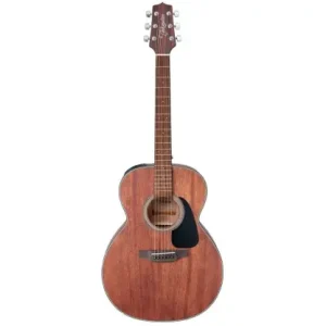 Zamów dziś TAKAMINE GLN11E-NS