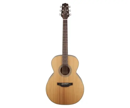 Takamine GN20-NS Niska cena