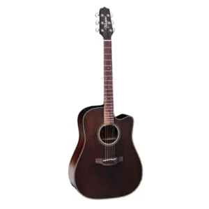 Takamine P1DC-SM Bestseller