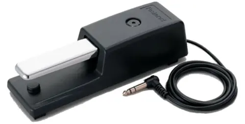 Tani Roland DP-10
