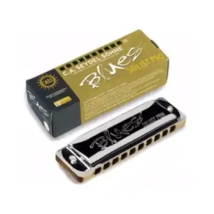 Wyjątkowa oferta SEYDEL BLUES SOLIST PRO D