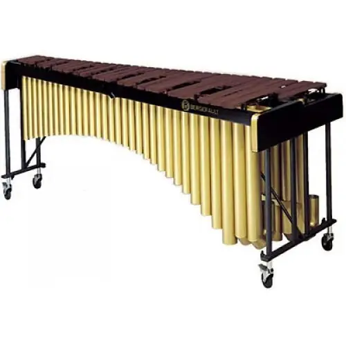 Bergerault MCBH Campus marimba Tani