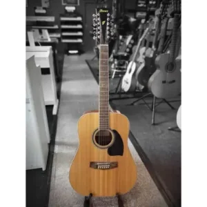 Zamów dziś Ibanez PF1512-NT