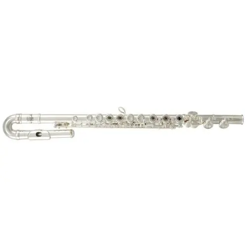 Premium Roy Benson FL-402R2 flet
