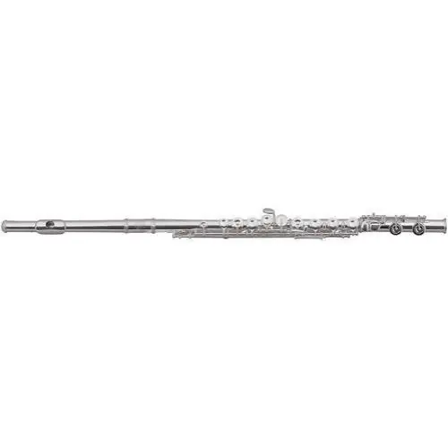 Roy Benson FL-602RI flet Popularny