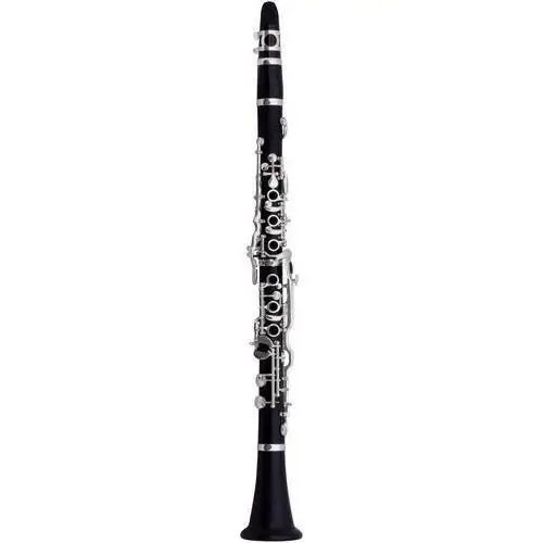 Bestseller Roy Benson CG-525 klarnet