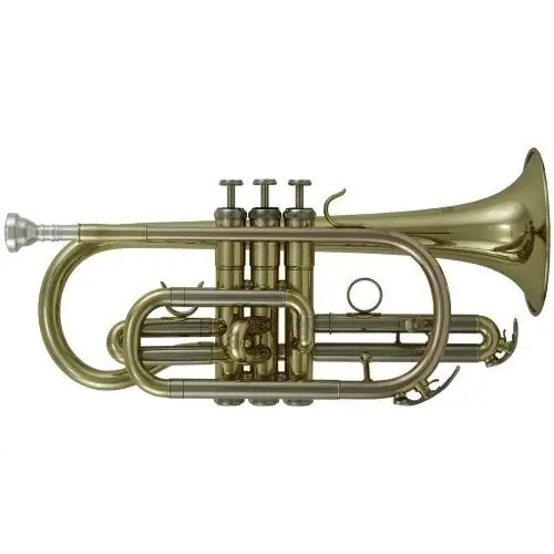 Niska cena Roy Benson CR-202 kornet