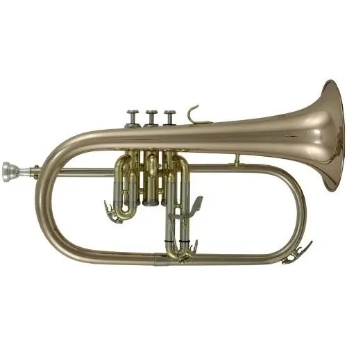 Roy Benson FH-302G flugelgorn Oferta