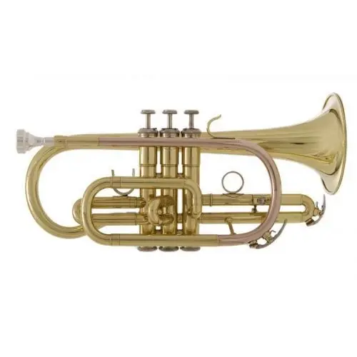 John Packer JP071 - kornet B kornet Wyjątkowa oferta