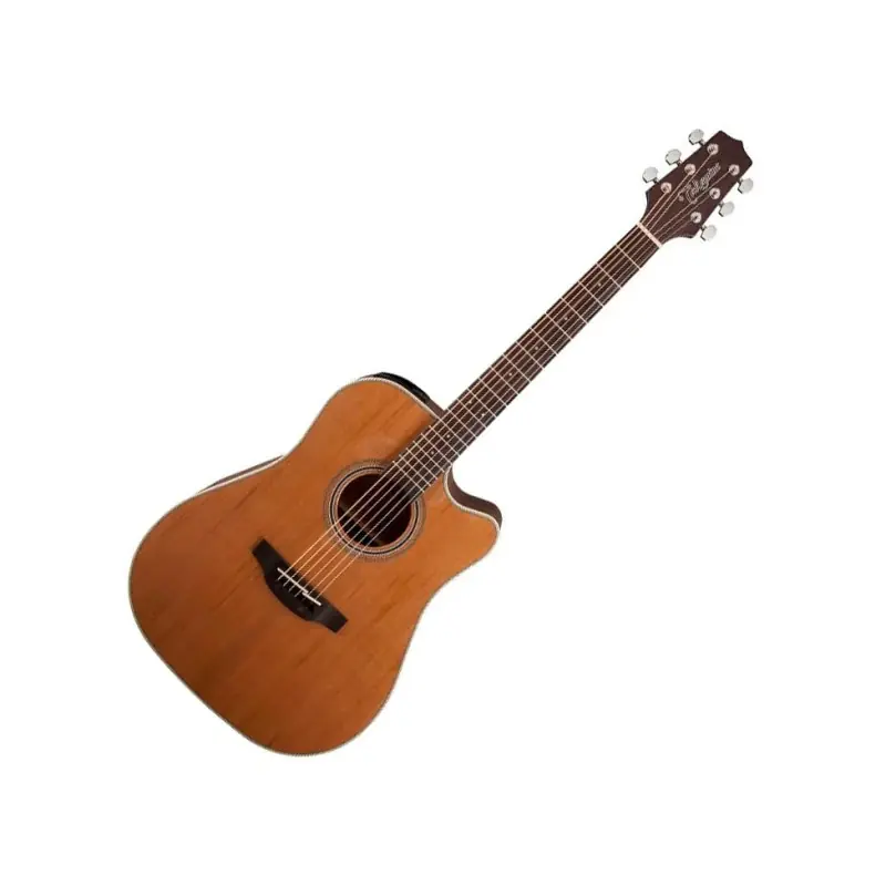 Takamine GD20CE-NS Nie przegap