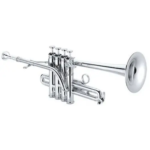 Bezpieczne zakupy Xo Brass XO1700RSS trąbka