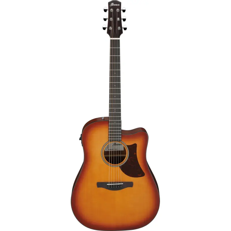Zamów teraz Ibanez AAD50CE-LBS