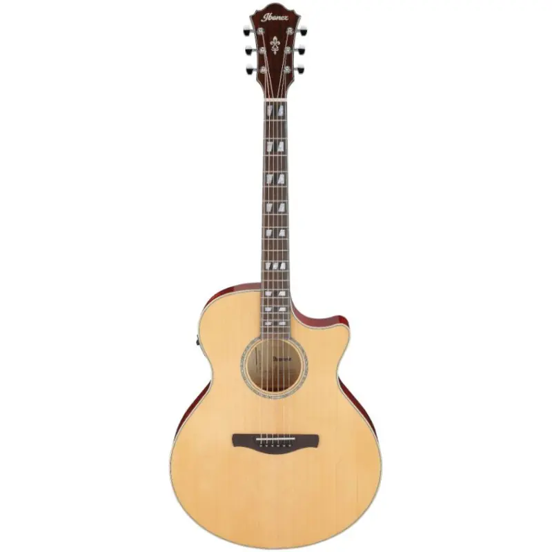 Ibanez AE170-NTR Zamów teraz