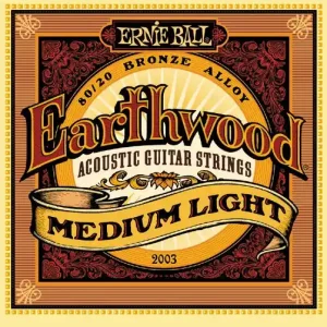 Promocja Ernie Ball 2003 Earthwood 12-54