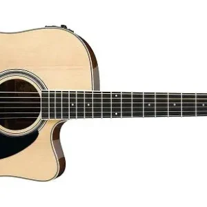Oferta limitowana Ibanez PF 15ECE NT