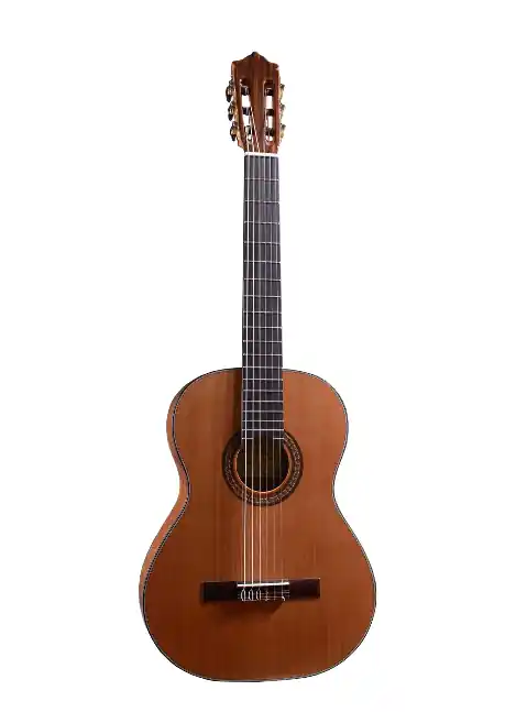 Szybka dostawa Martinez MC-20C JUN Etude C (cedr) 3/4 gitara klasyczna