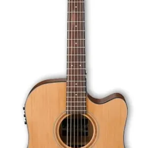 Zamów dziś IBANEZ AW65ECE-LG gitara elektro-akustyczna