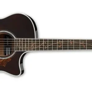 Kup online IBANEZ AE205-BS