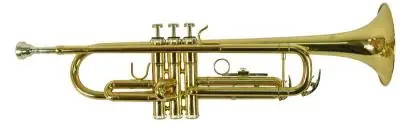 Niska cena Carvelli 115