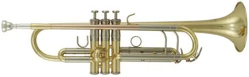 Ekspresowa dostawa Roy Benson TR-402 tr膮bka Bb lakierowana z futera艂em