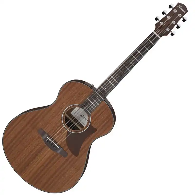 Hit sprzedaży Ibanez AAM54-OPN Gitara Elektro-Akustyczna