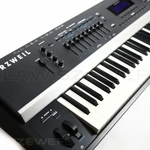 KURZWEIL ARTIS Bezpieczna płatność