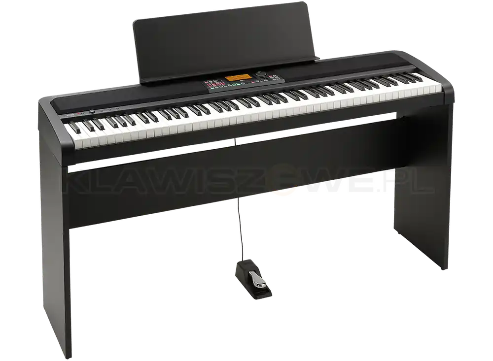 Tani KORG XE20 + STATYW (XE-20)