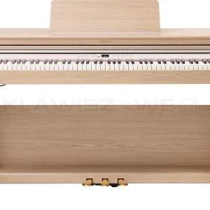 Wybór klientów ROLAND RP701 LA