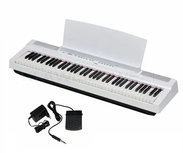 Tani YAMAHA P-121 wh