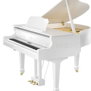 Do wyczerpania zapasów ROLAND GP609 PW (biały połysk)