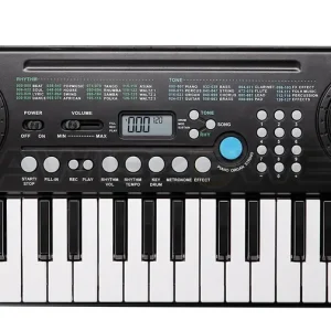 KURZWEIL KP10 Popularny